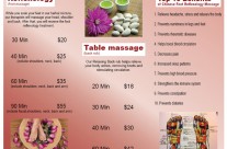 FUWA Foot Massage Brochure