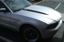 Mustang 5.0 Graphics